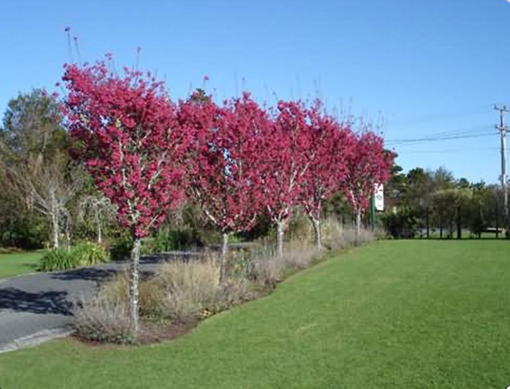 Warkworth Country House Bed and Breakfast Esterno foto