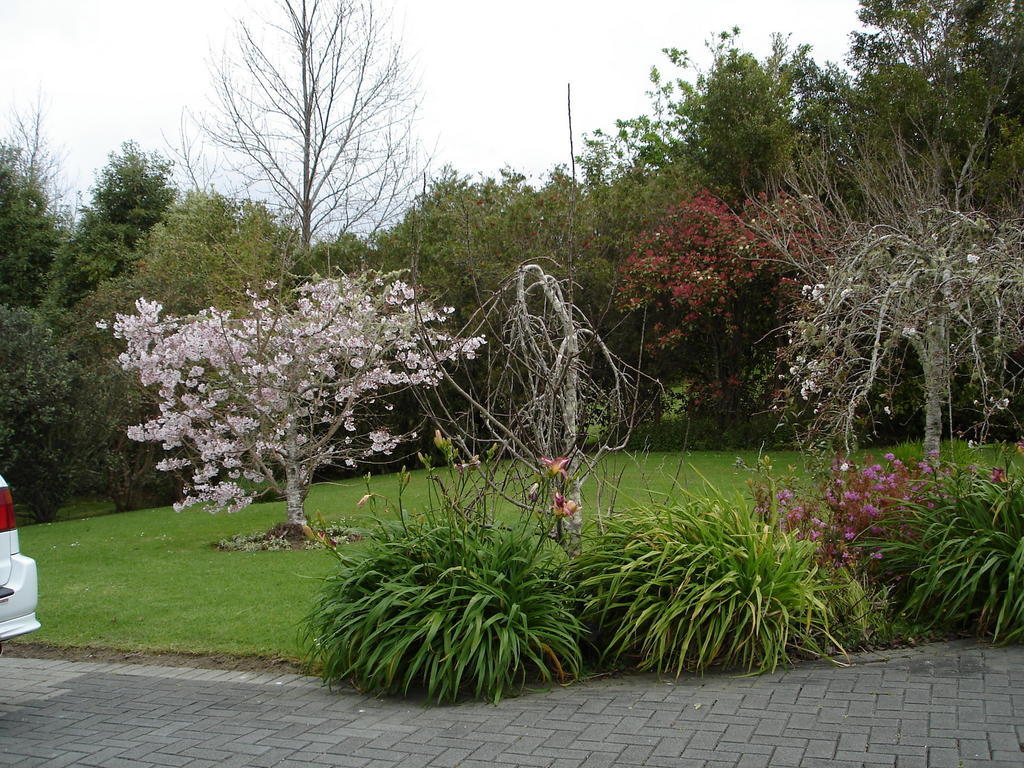 Warkworth Country House Bed and Breakfast Esterno foto