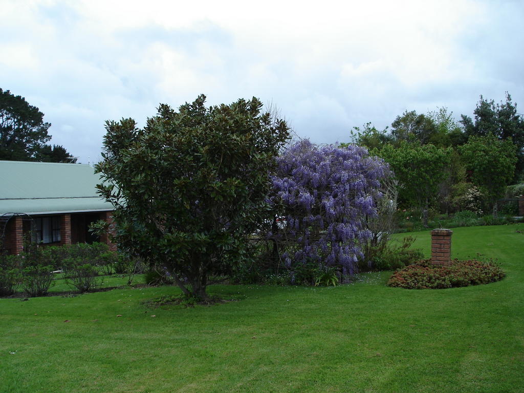 Warkworth Country House Bed and Breakfast Esterno foto