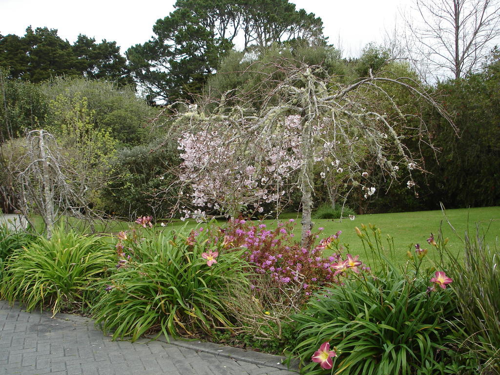 Warkworth Country House Bed and Breakfast Esterno foto