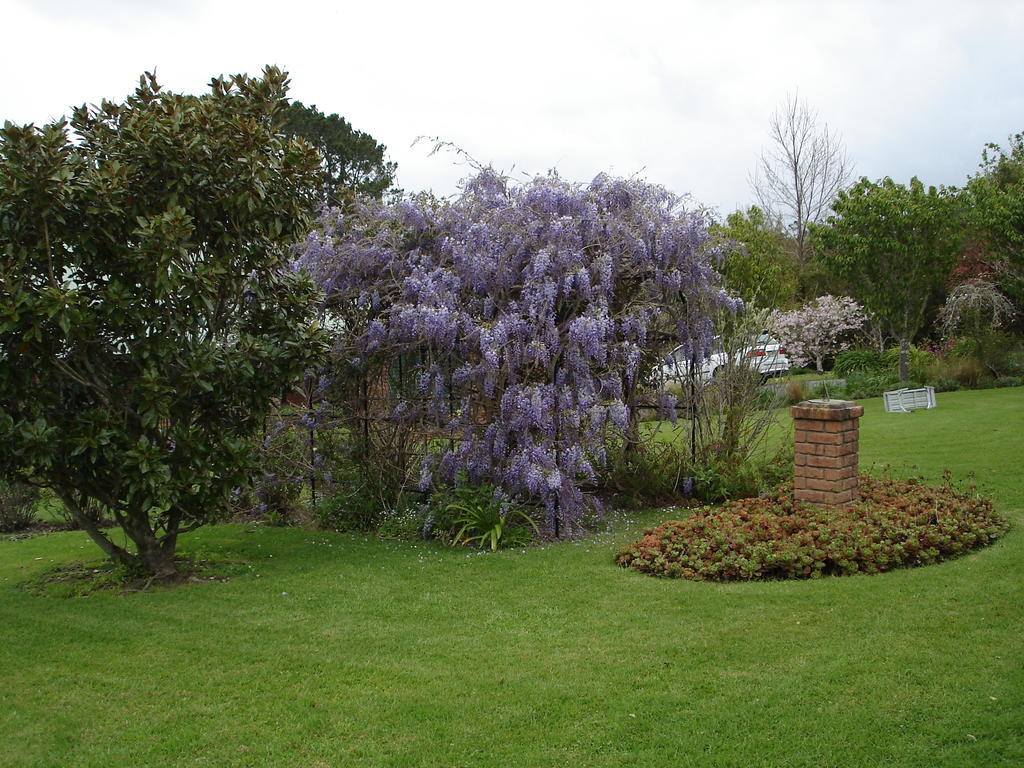 Warkworth Country House Bed and Breakfast Esterno foto